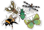 Invertebrate Sticker Pack