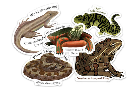 Reptile and Amphibian Sticker Pack
