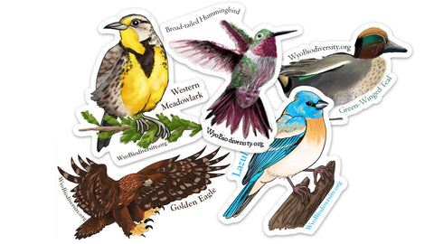 Bird Sticker Pack