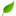 The Biodiversity Institute Bookstore logo