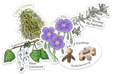 Plants, Lichen, and Fungi Sticker Pack