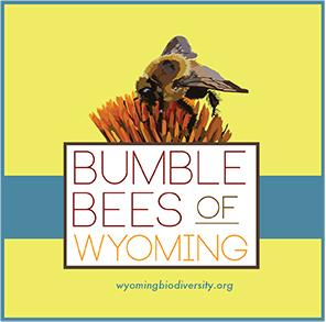 Bumble Bees of Wyoming - Tax Free for State and Tax Exempt Organizations Only