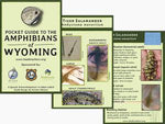 Wyoming Amphibian Identification Guide