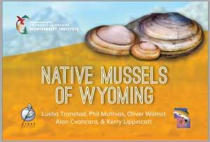 Native Mussels of Wyoming