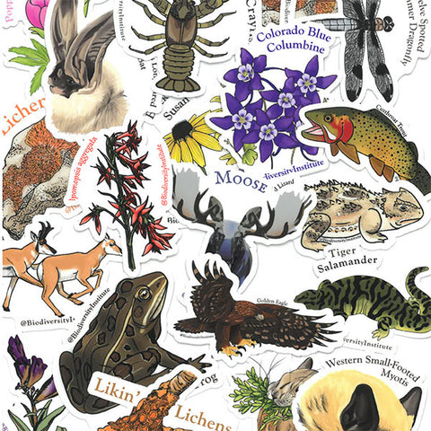 Wyoming Biodiversity Stickers! (Pack of 4)